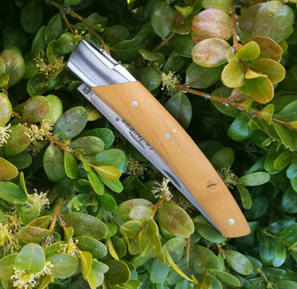 Le-Thiers-Pirou-10cm-manche-buis